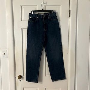 NWT Everlane 90s Way High Jean, 27R